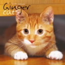 Image for GINGER CATS W