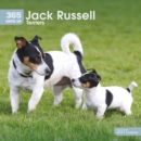 Image for JACK RUSSELL TERRIERS 365 DAYS W