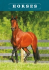 Image for HORSES EGMT D