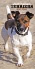 Image for JACK RUSSELL TERRIERS SLIM D