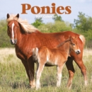 Image for PONIES M