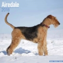 Image for Airedale Calendar 2018