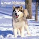 Image for Alaskan Malamute Calendar 2018