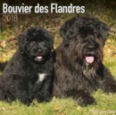 Image for Bouvier Des Flandres Calendar 2018