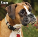 Image for Boxer Calendar 2018