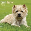 Image for Cairn Terrier Calendar 2018