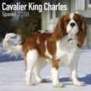 Image for Cavalier King Charles Spaniel Calendar 2018