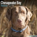 Image for Chesapeake Bay Retriever Calendar 2018