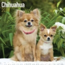 Image for Chihuahua Calendar 2018