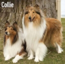 Image for Collie Calendar 2018