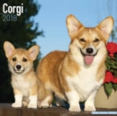 Image for Corgi Calendar 2018