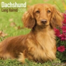 Image for Dachshund Longhaired Calendar 2018