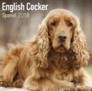 Image for English Cocker Spaniel Calendar 2018