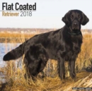 Image for Flat Coated Retriever Calendar 2018