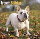 Image for French Bulldog Calendar 2018
