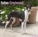 Image for Italian Greyhound Calendar 2018