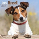 Image for Jack Russell Calendar 2018