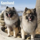 Image for Keeshond Calendar 2018