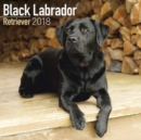 Image for Black Labrador Retriever Calendar 2018