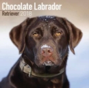 Image for Chocolate Labrador Retriever Calendar 2018