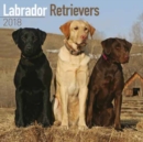 Image for Labrador Retrievers Calendar 2018
