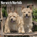 Image for Norwich/Norfolk Terrier Calendar 2018