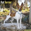 Image for Rat Terrier Calendar 2018