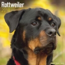 Image for Rottweiler Calendar 2018