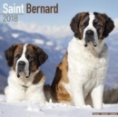 Image for Saint Bernard Calendar 2018