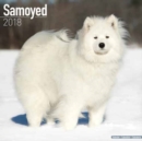Image for Samoyed Calendar 2018