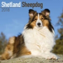 Image for Shetland Sheepdog Calendar 2018