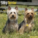 Image for Silky Terrier Calendar 2018