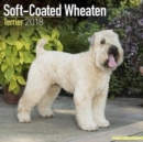 Image for Soft Coated Wheaten Terrier Calendar 2018