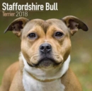 Image for Staffordshire Bull Terrier Calendar
