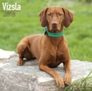 Image for Vizsla Calendar 2018