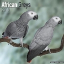 Image for African Greys Calendar 2018