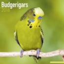 Image for Budgerigars Calendar 2018
