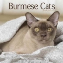 Image for Burmese Cats Calendar 2018