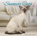 Image for Siamese Cats Calendar 2018