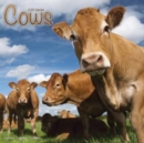Image for Cows Calendar 2018