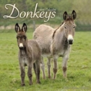 Image for Donkeys Calendar 2018