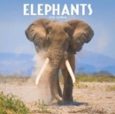Image for Elephants Calendar 2018