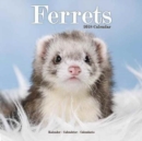 Image for Ferrets Calendar 2018