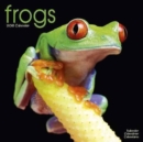 Image for Frogs Calendar 2018