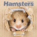 Image for Hamsters Calendar 2018