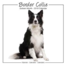 Image for Border Collie Studio Calendar 2018
