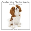 Image for Cavalier King Charles Studio Calendar 2018