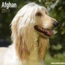 Image for Afghan Calendar 2019