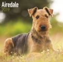 Image for Airedale Calendar 2019
