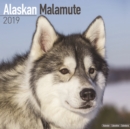 Image for Alaskan Malamute Calendar 2019